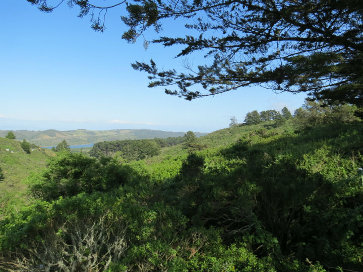 Santa Cruz Mountains